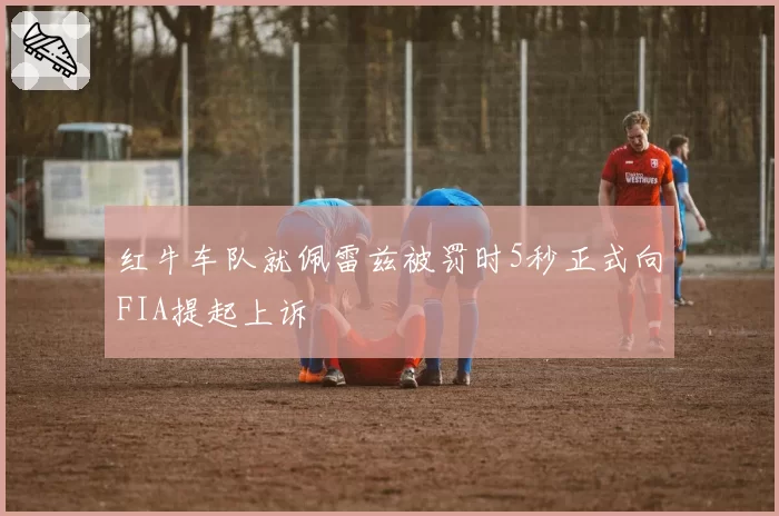 红牛车队就佩雷兹被罚时5秒正式向FIA提起上诉