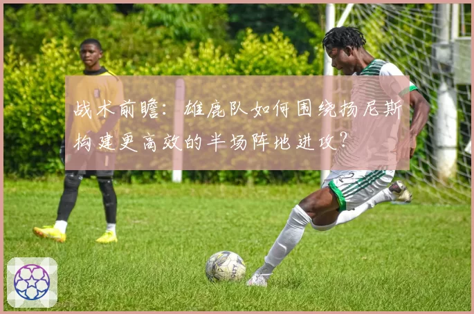 战术前瞻：雄鹿队如何围绕扬尼斯构建更高效的半场阵地进攻？